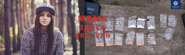 трава Белокуриха