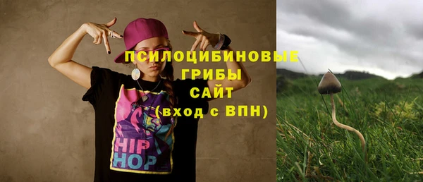 трава Белокуриха