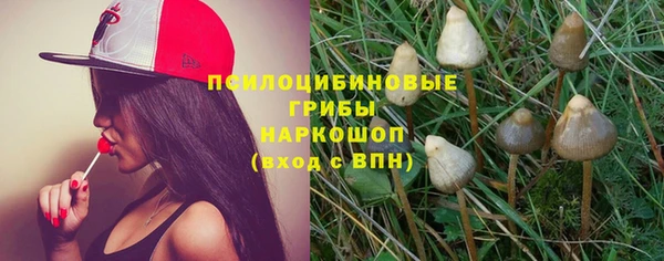кокс Баксан