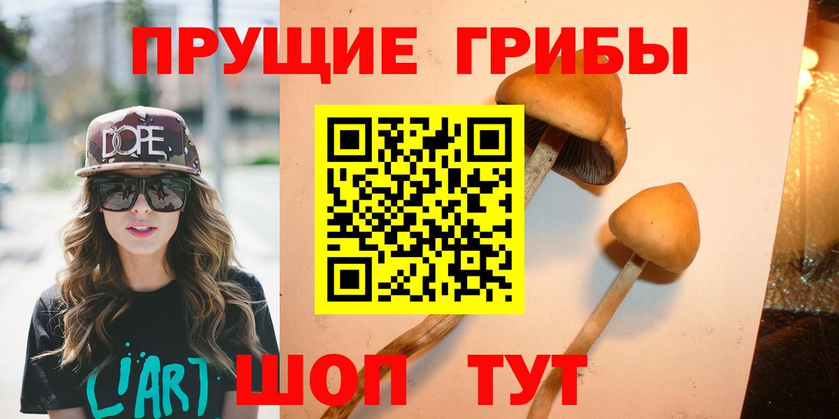 Псилоцибиновые грибы Psilocybine cubensis  Галлюциногенные грибы прущие грибы  Пыть-Ях  Вход с VPN 